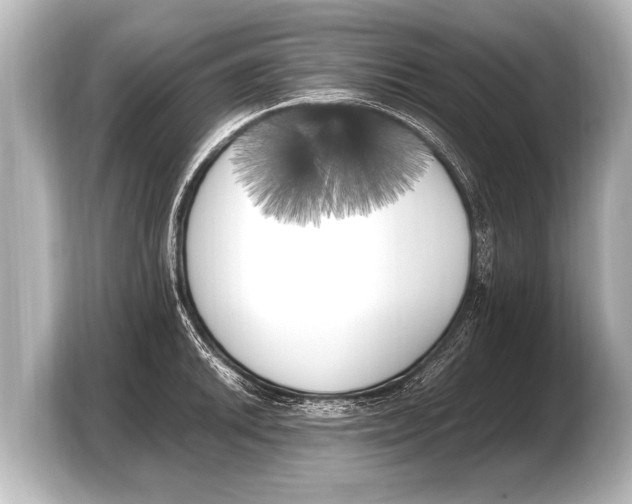 X0000103431046200810031347