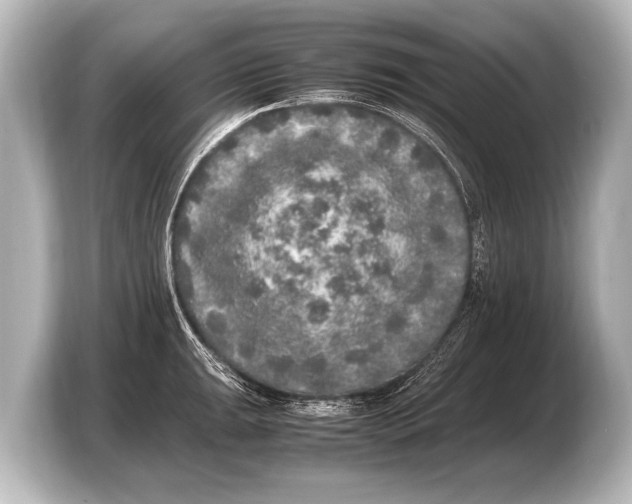 X0000103431047200810031347