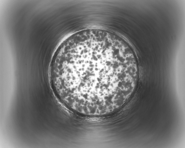 X0000103431048200810031347