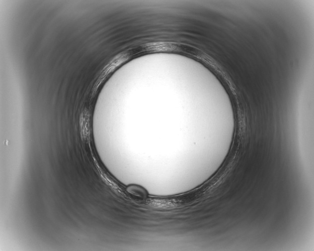 X0000103431049200810031347