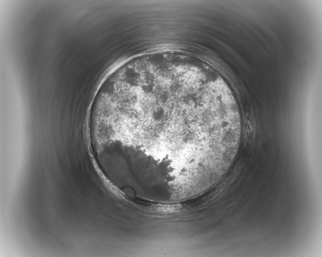 X0000103431055200810031347