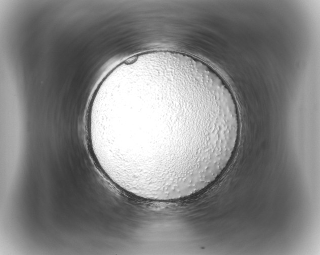 X0000103431056200810031347