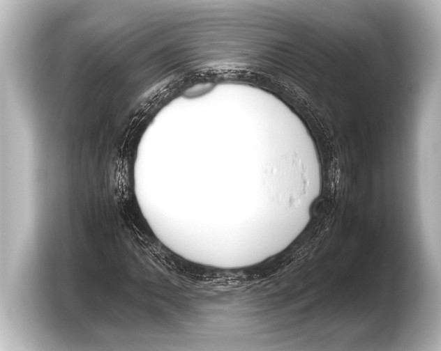 X0000103431062200810031346