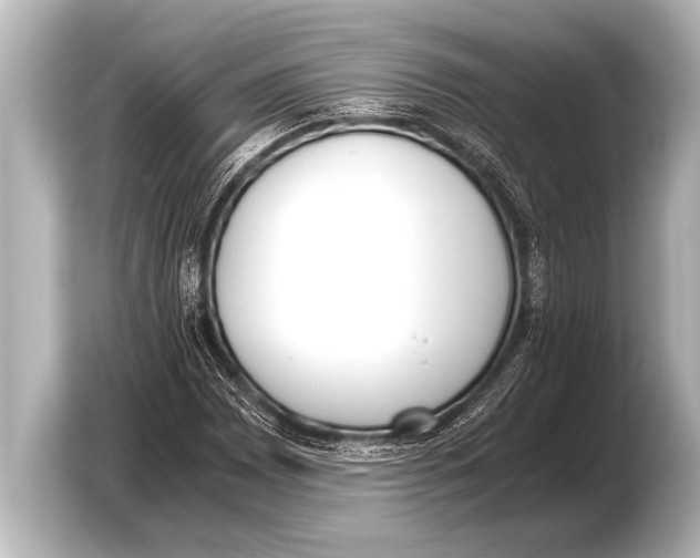 X0000103431065200810031346