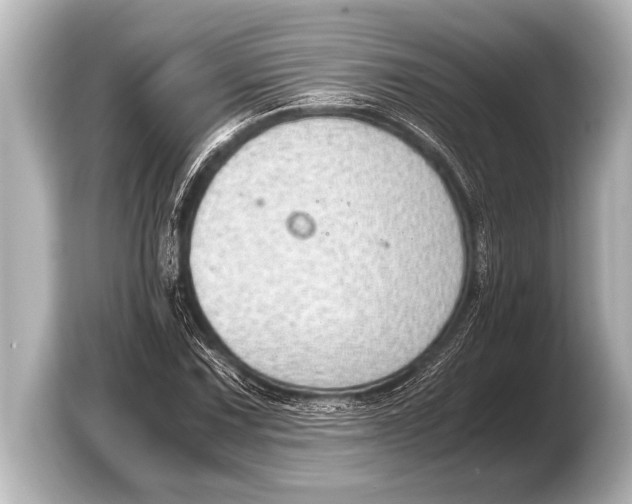 X0000103431067200810031346