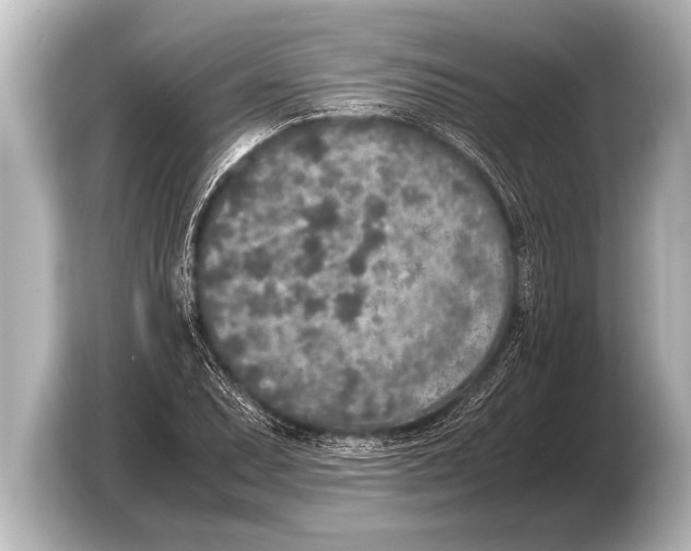 X0000103431071200810031346