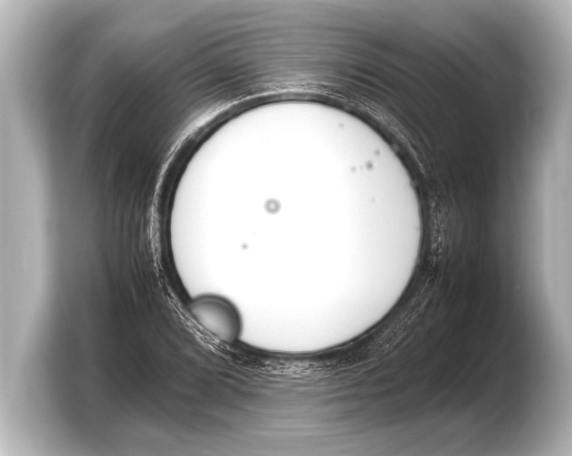 X0000103431072200810031346