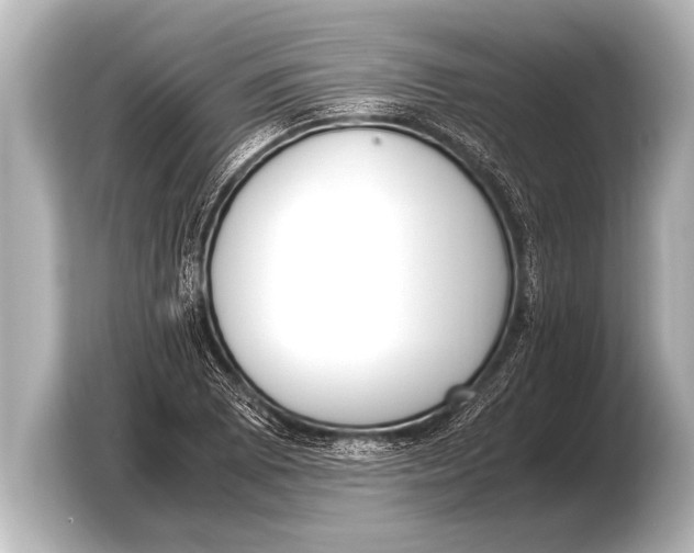 X0000103431073200810031346