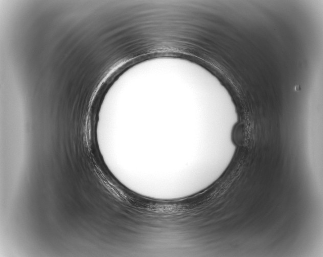 X0000103431076200810031346