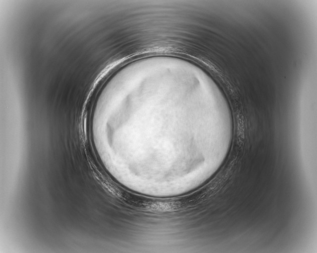 X0000103431078200810031346