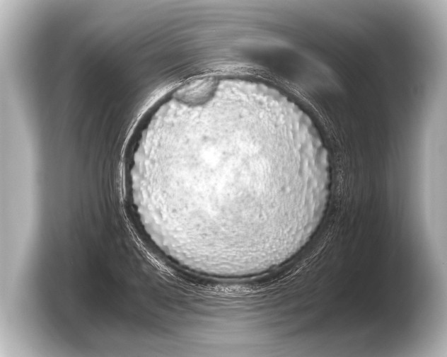 X0000103431079200810031346