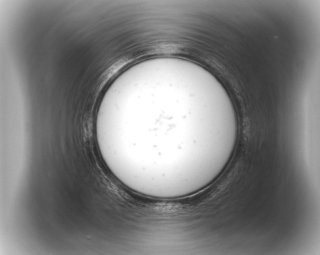 X0000103431081200810031346