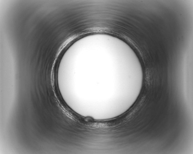 X0000103431082200810031346