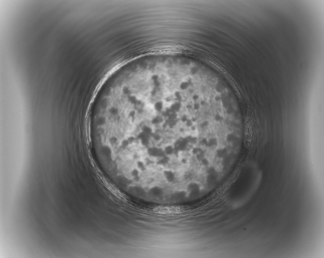 X0000103431083200810031346