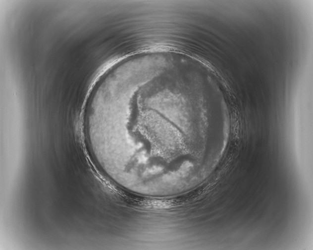 X0000103431086200810031346