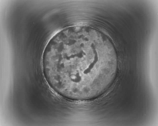 X0000103431087200810031346