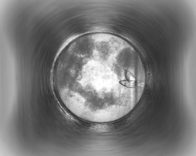 X0000103431094200810031346