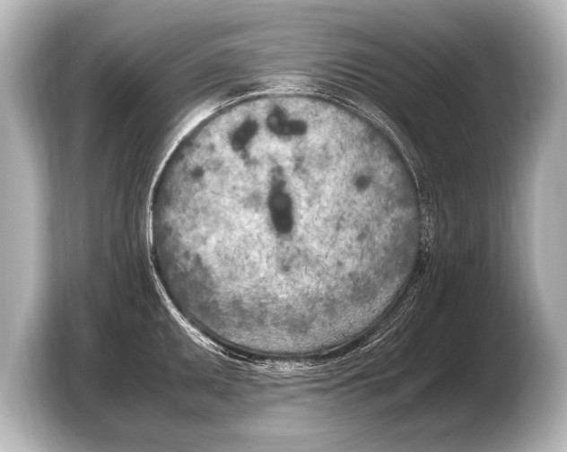 X0000103431095200810031346