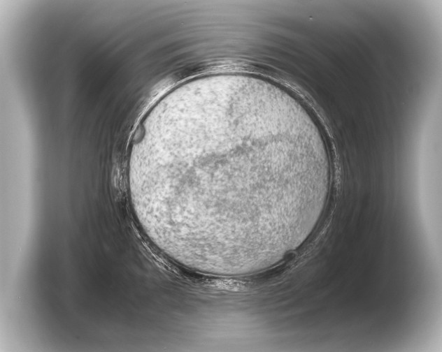 X0000103431097200810031346