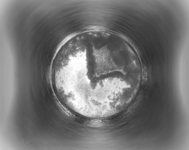 X0000103431098200810031346