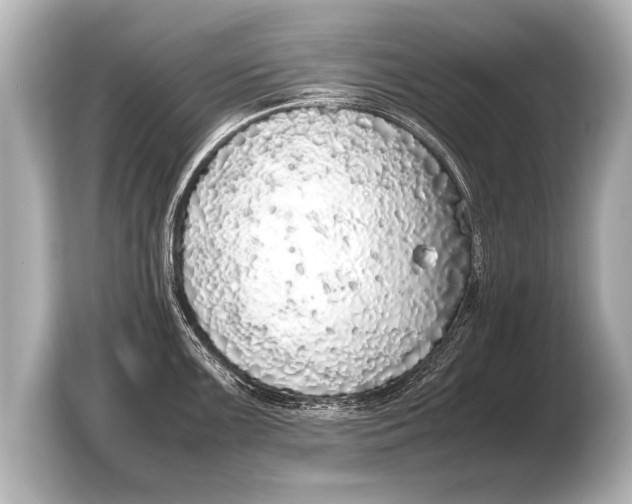 X0000103431099200810031346