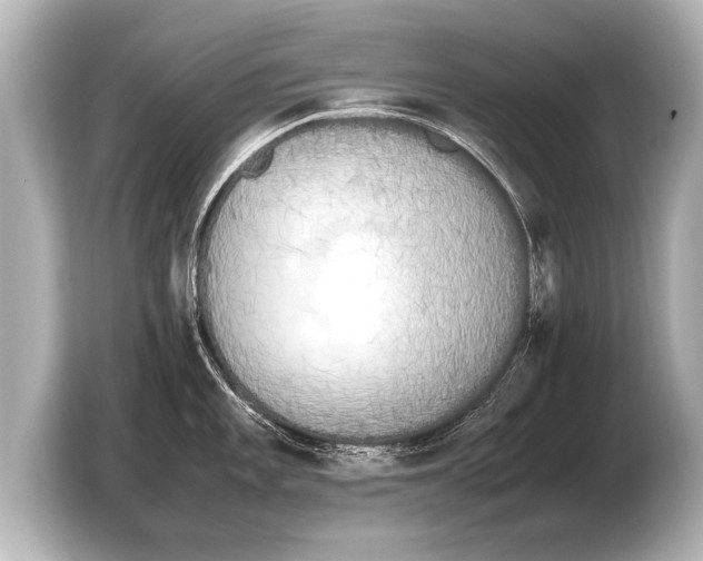 X0000103431101200810031346