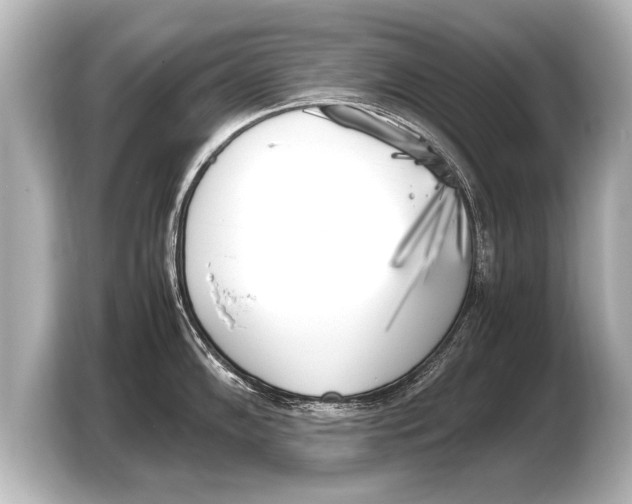 X0000103431102200810031346