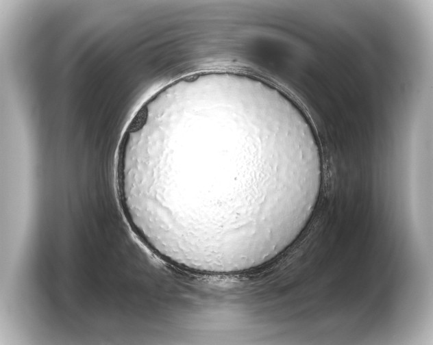 X0000103431103200810031346