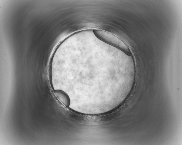 X0000103431104200810031346