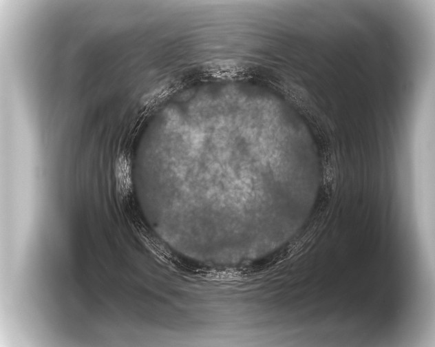 X0000103431106200810031345