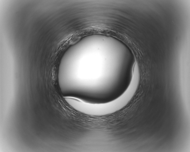 X0000103431110200810031345