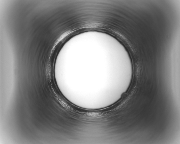 X0000103431114200810031345