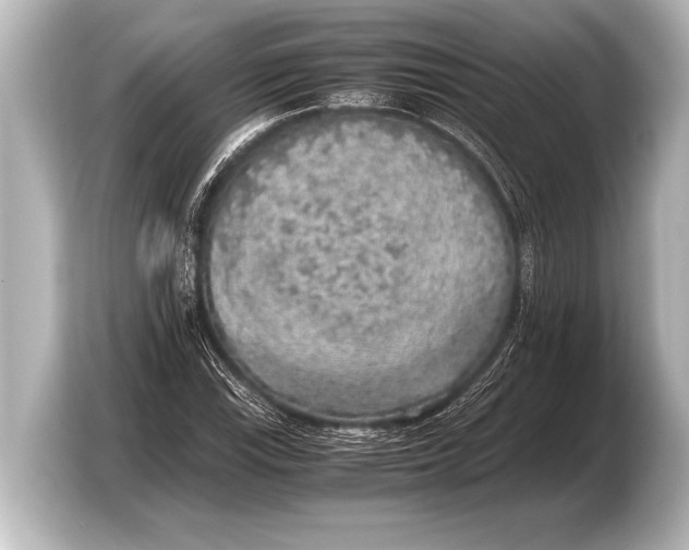 X0000103431115200810031345