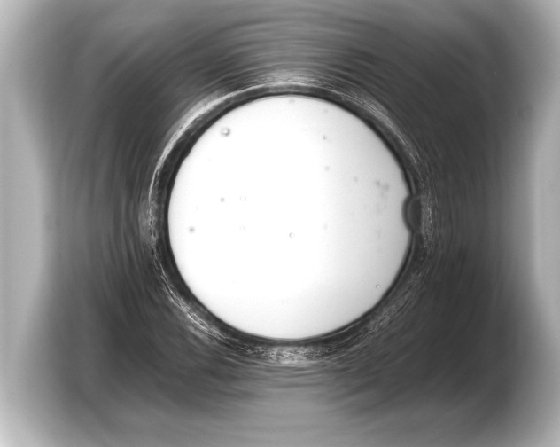 X0000103431116200810031345