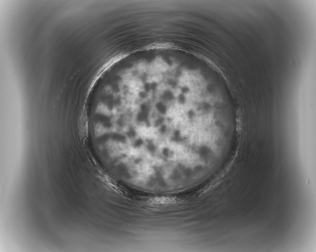 X0000103431117200810031345