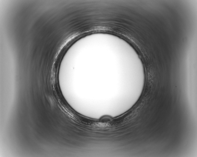 X0000103431119200810031345