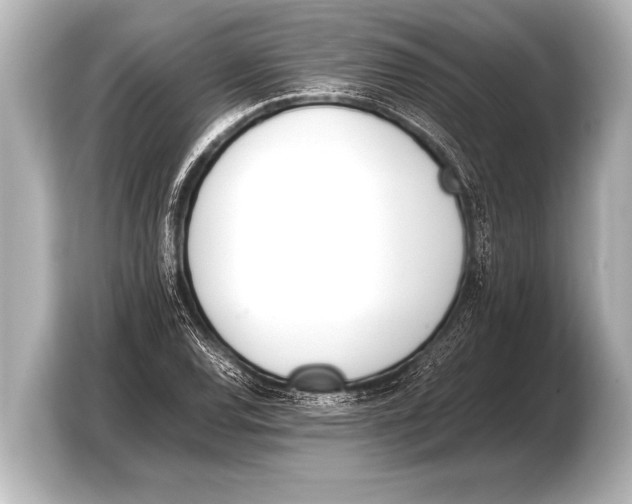 X0000103431120200810031345