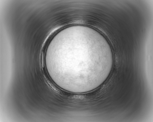 X0000103431123200810031345