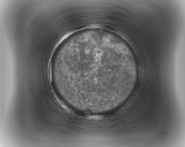 X0000103431127200810031345