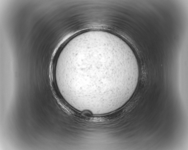 X0000103431128200810031345