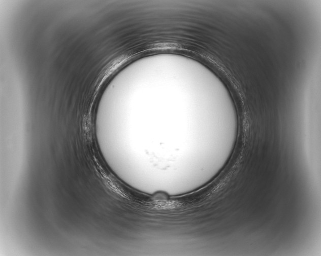 X0000103431129200810031345