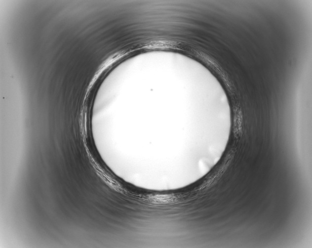 X0000103431130200810031345