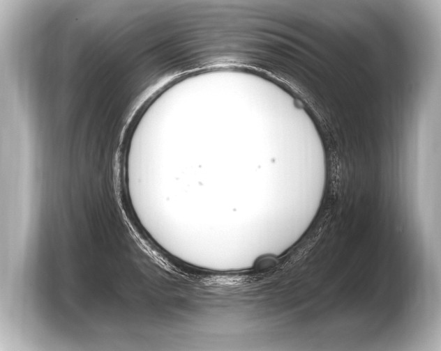 X0000103431134200810031345