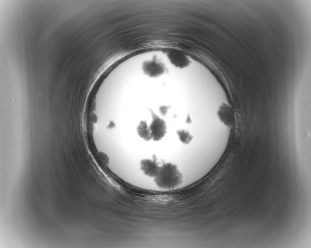 X0000103431141200810031345