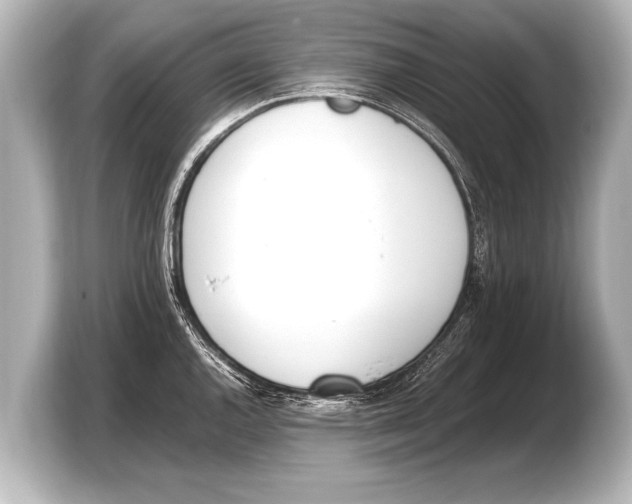 X0000103431144200810031345