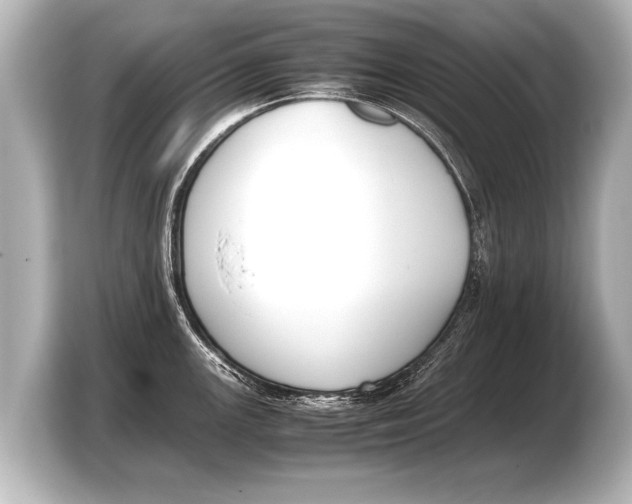 X0000103431147200810031346