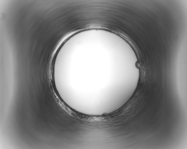 X0000103431148200810031346