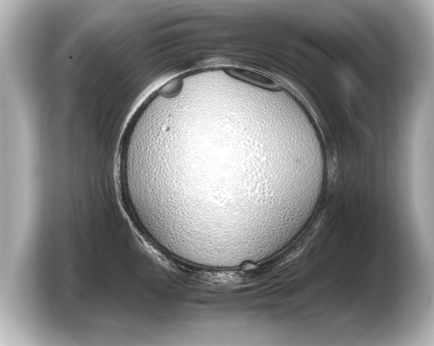 X0000103431149200810031346