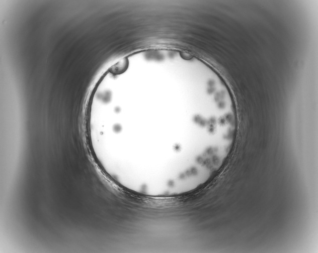 X0000103431152200810031346