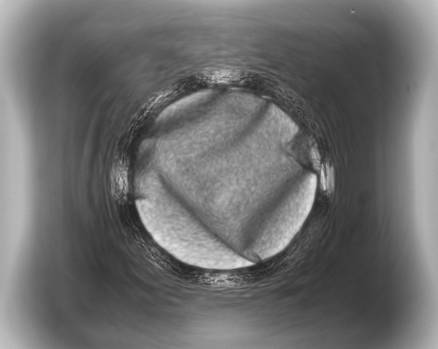 X0000103431155200810031345